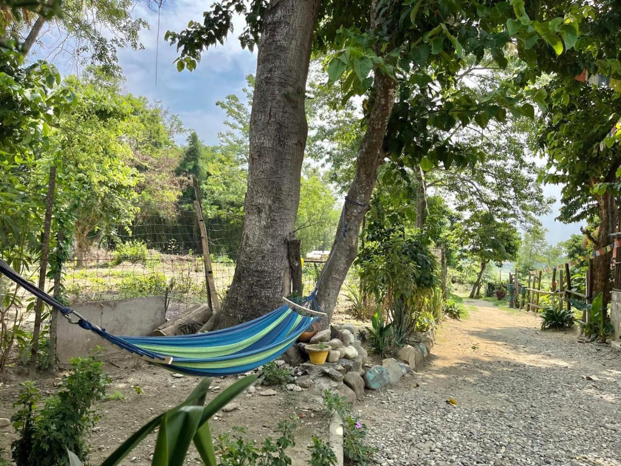 Bamby Chilling House - Feel The Nature Sauraha Kültér fotó