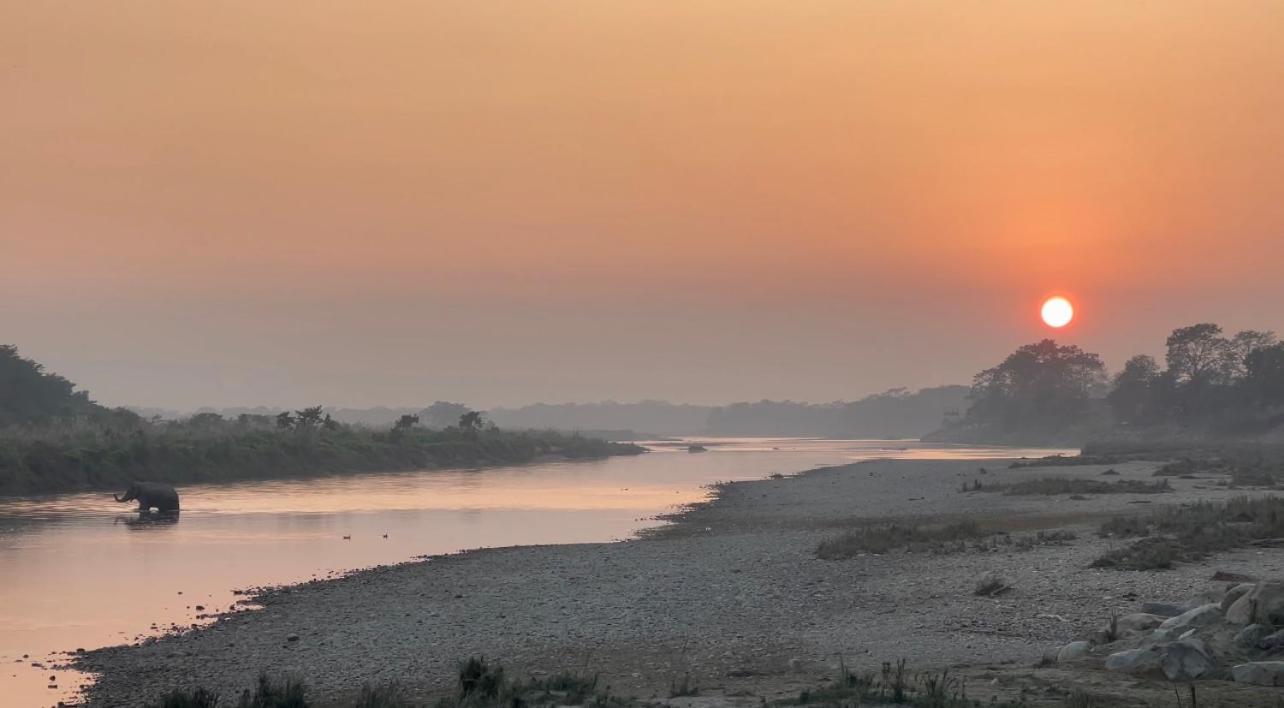 Bamby Chilling House - Feel The Nature Sauraha Kültér fotó